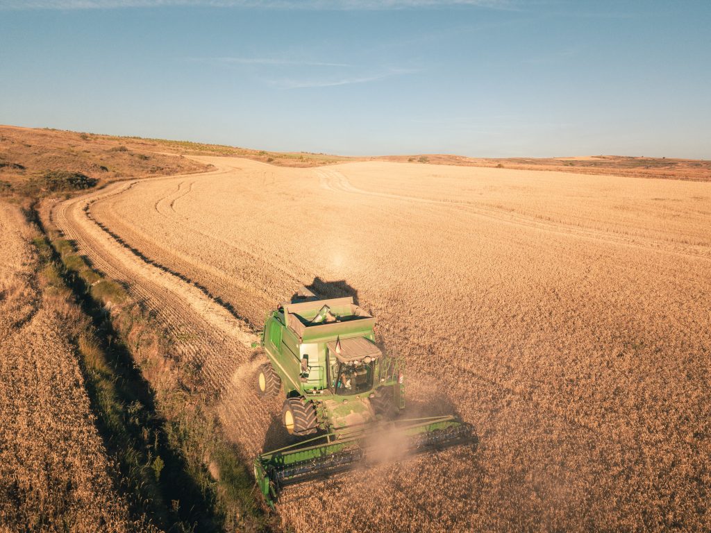 Salvado de trigo, propiedades y beneficios | Galletas Gullón