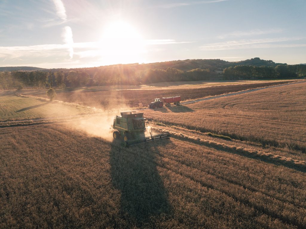Salvado de trigo, propiedades y beneficios | Galletas Gullón