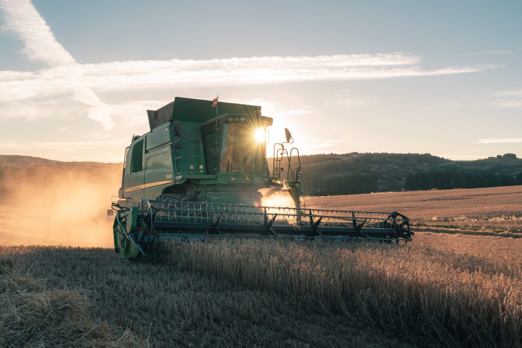 Salvado de trigo, propiedades y beneficios | Galletas Gullón